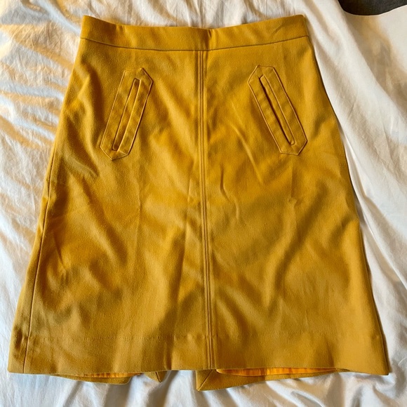 Pink Martini A-Line Skirt - Picture 1 of 4